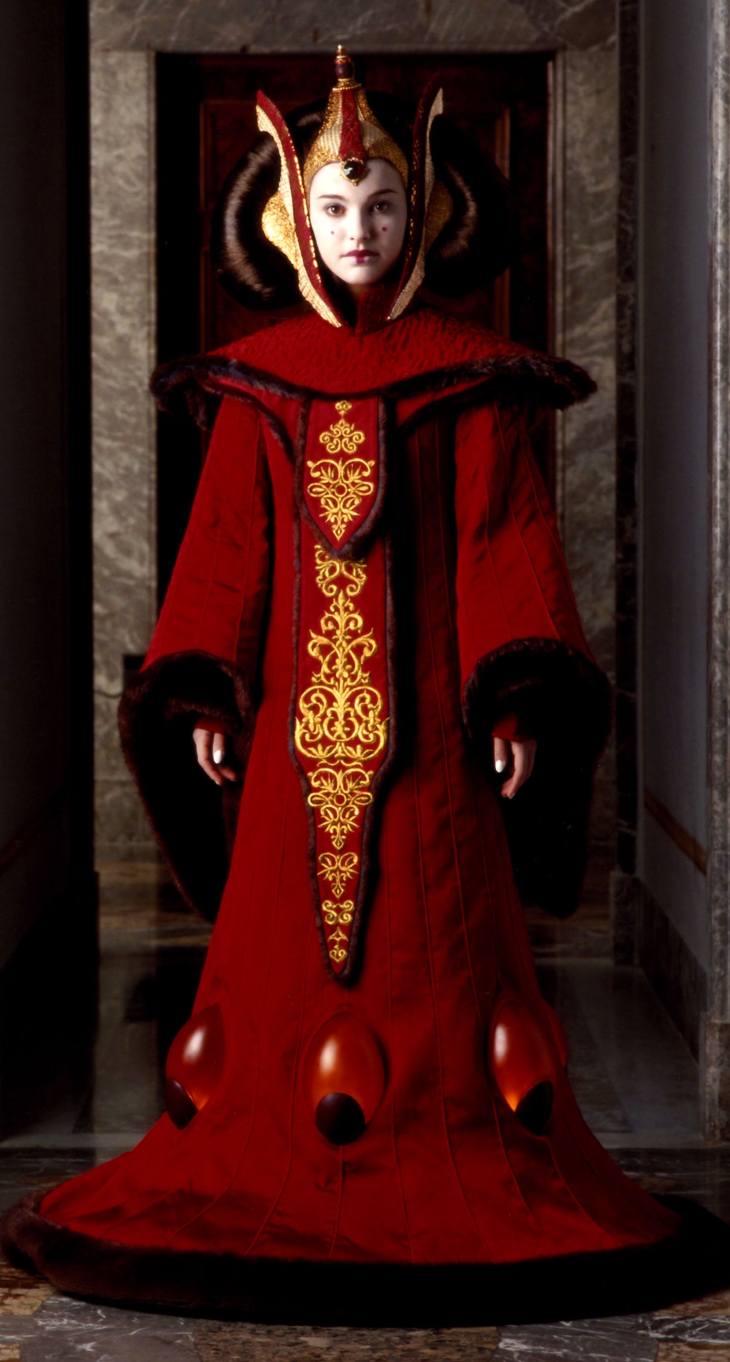 Queen Amidala Costume Costumes Fc
