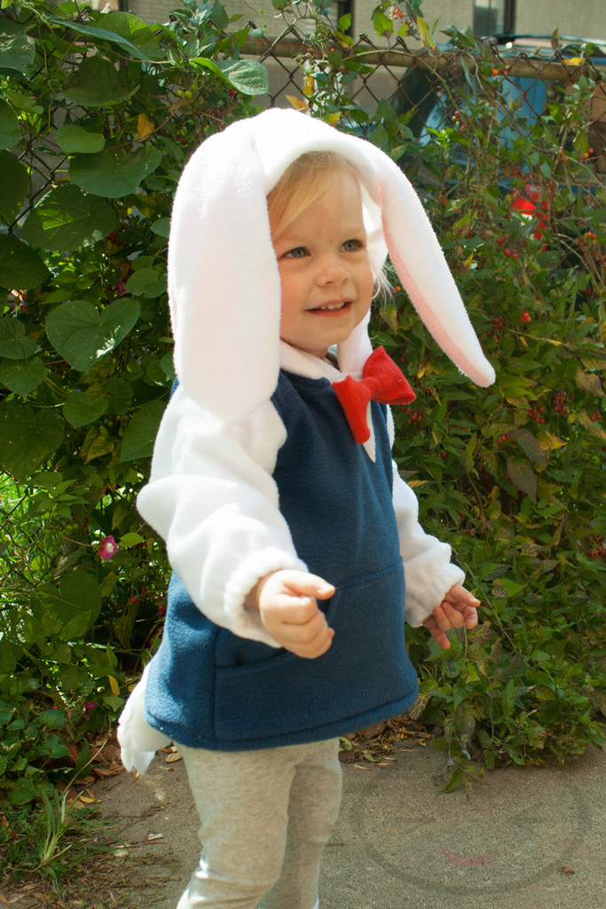 White Rabbit Costumes | Costumes FC