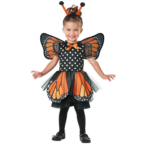 Butterfly Costume | Costumes FC
